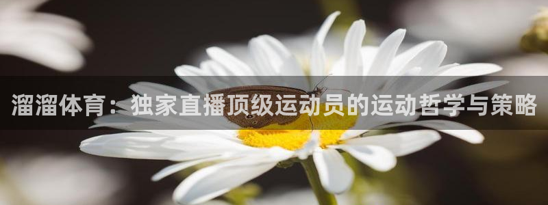 柠檬直播体育官网：溜溜体育：独家直播顶级运动员的运动哲学与策略