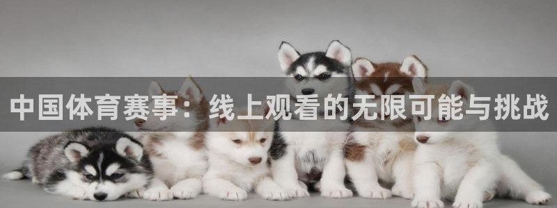 柠檬直播nba篮球在线观看