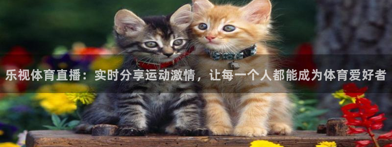 柠檬篮球直播