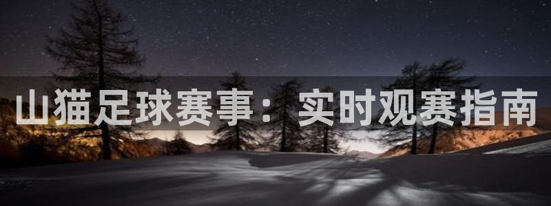 柠檬体育足球视频直播