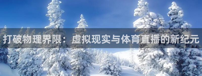 柠檬直播足球免费观看：打破物理界限：虚拟现实与体育直播的新纪元