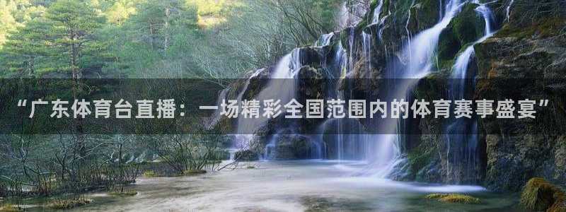 柠檬直播 篮球